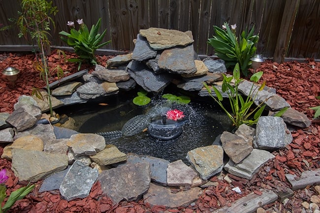 diy backyard pond