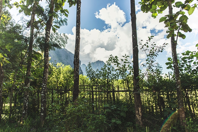 IMG_8882