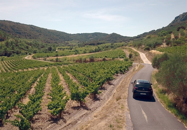 Screen-Shot-2017-07-23-at-1.27.45-AM