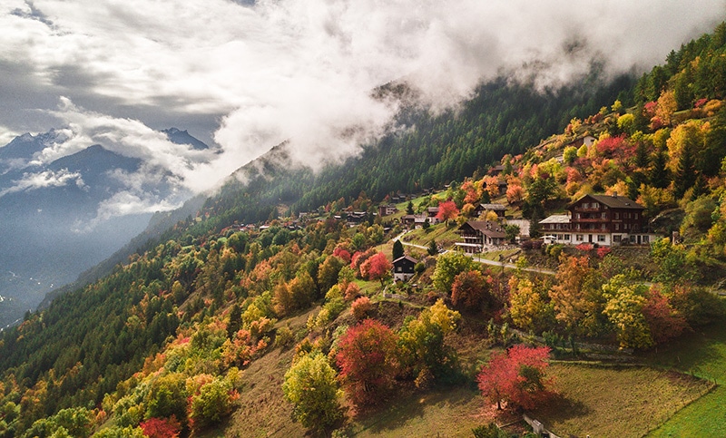 DJI_0008