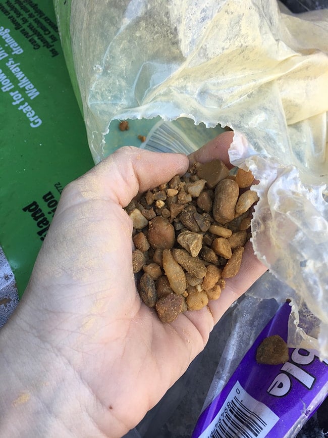 brown pea gravel closeup