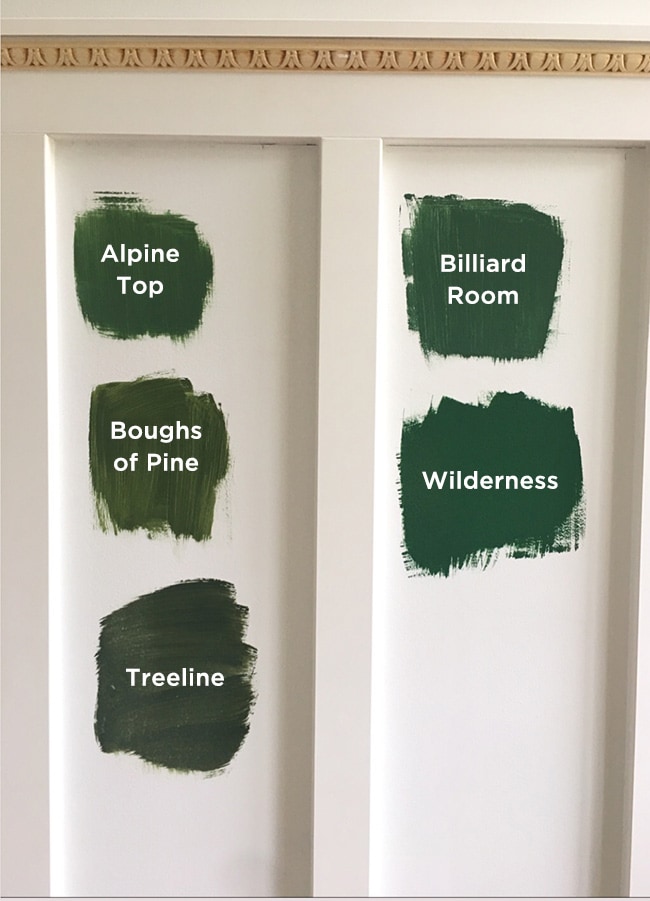 valspar dark green paint samples: treeline, wilderness