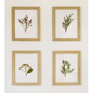 diy pressed Botanical Art