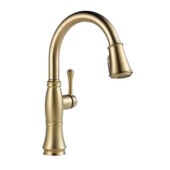 Gold Kitchen Faucet