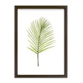 framed fern art