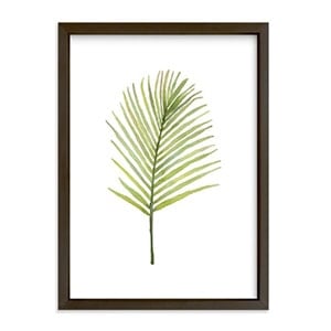 framed fern art