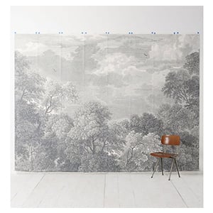 Etched Acadia Wall Mural