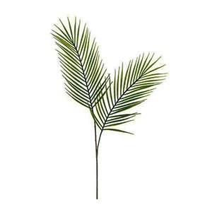 Palm Leaves