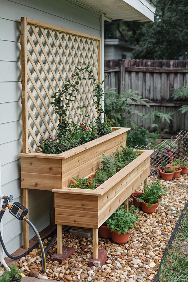 Herb shop garden planter