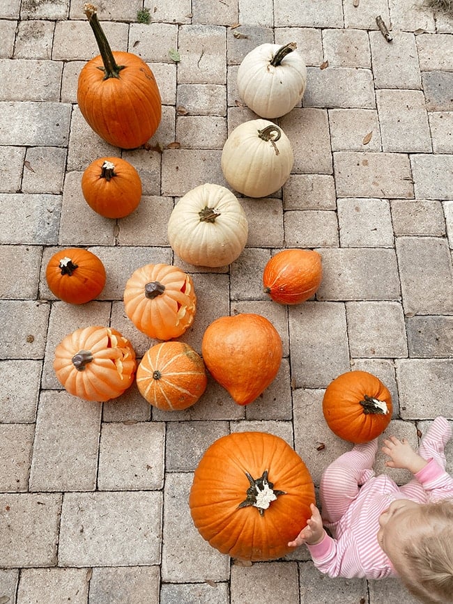 pumpkins on patio