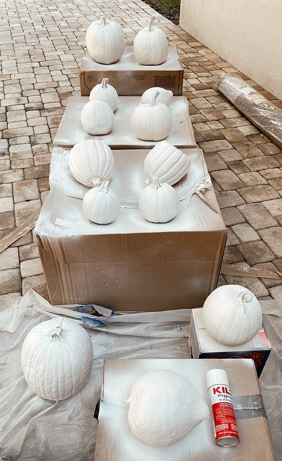 priming pumpkins