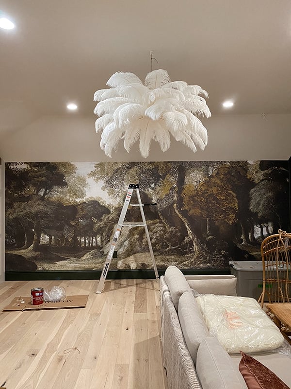 Ostrich feather on sale chandelier diy