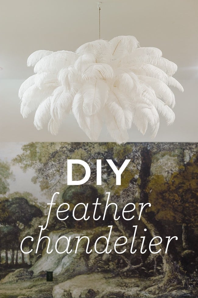 Ostrich feather on sale chandelier diy