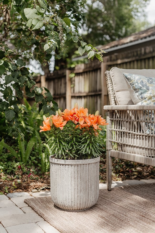 DIY Tiered Herb Garden Planter - Jenna Sue Design