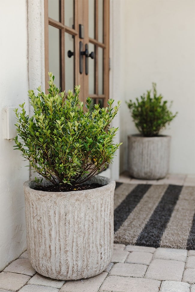 Easy DIY Faux Stone Planters with Spray Paint - Designed Simple