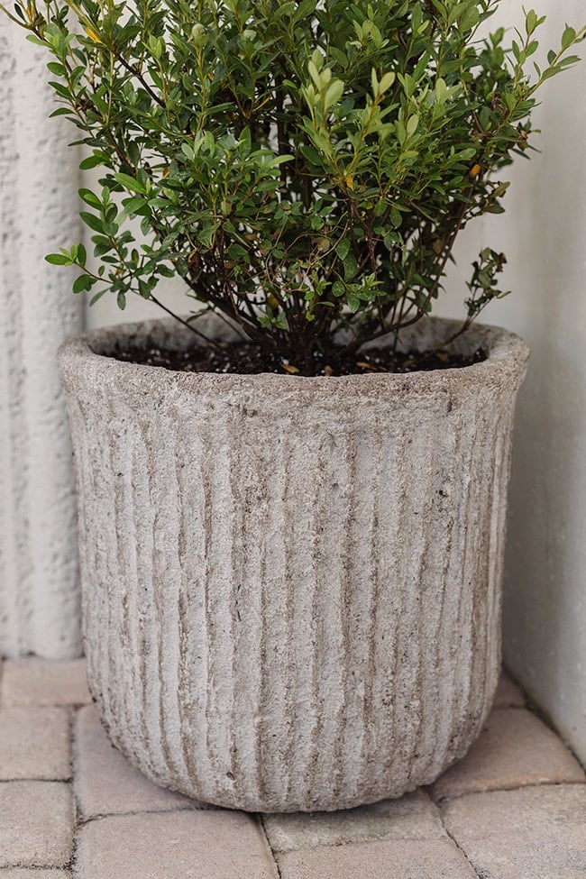 diy concrete planter
