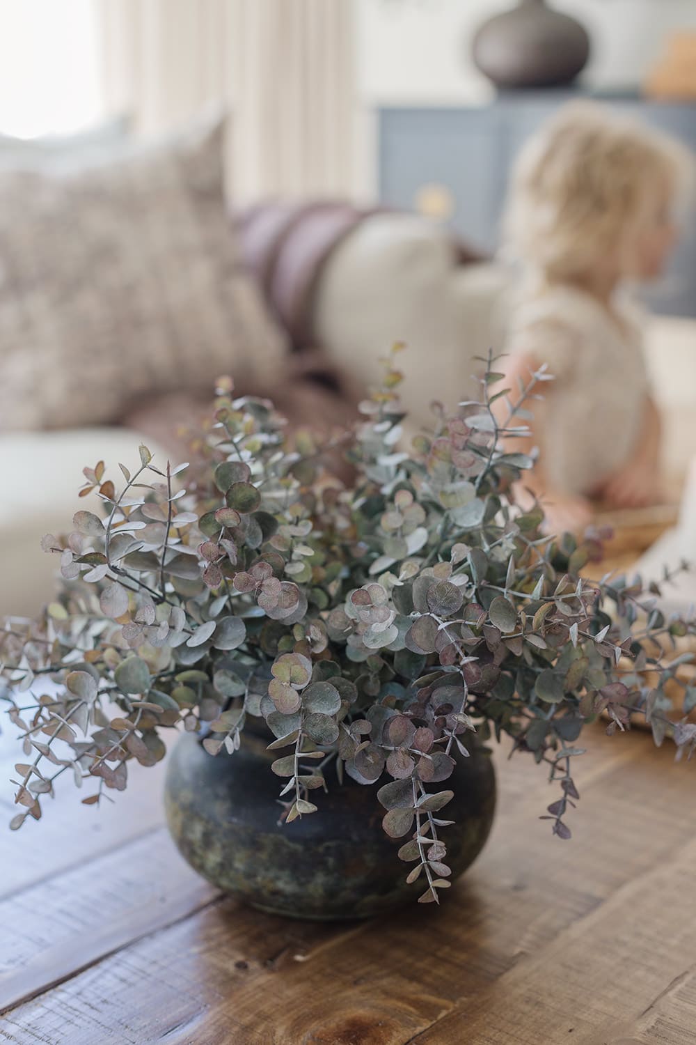 closeup of purple eucalyptus stems on coffee table