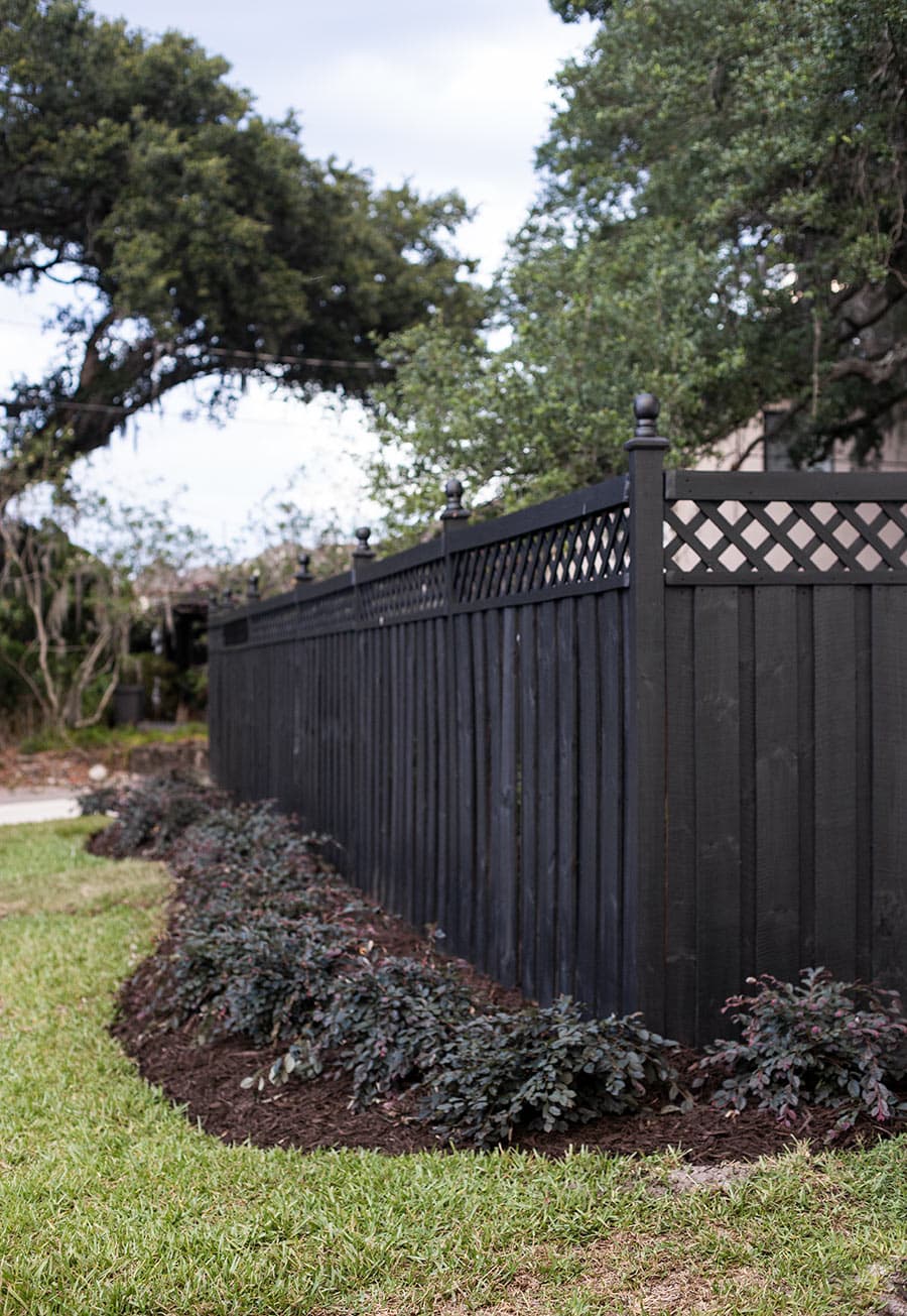 black wood fence with lorapetalums planted along the bed