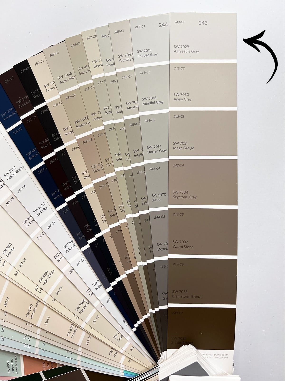 Behr Blank Canvas  Behr paint colors, Coordinating paint colors, Paint  color guide