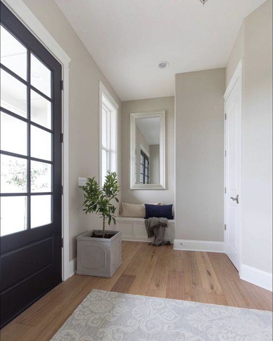 Benjamin moore revere pewter foyer walls