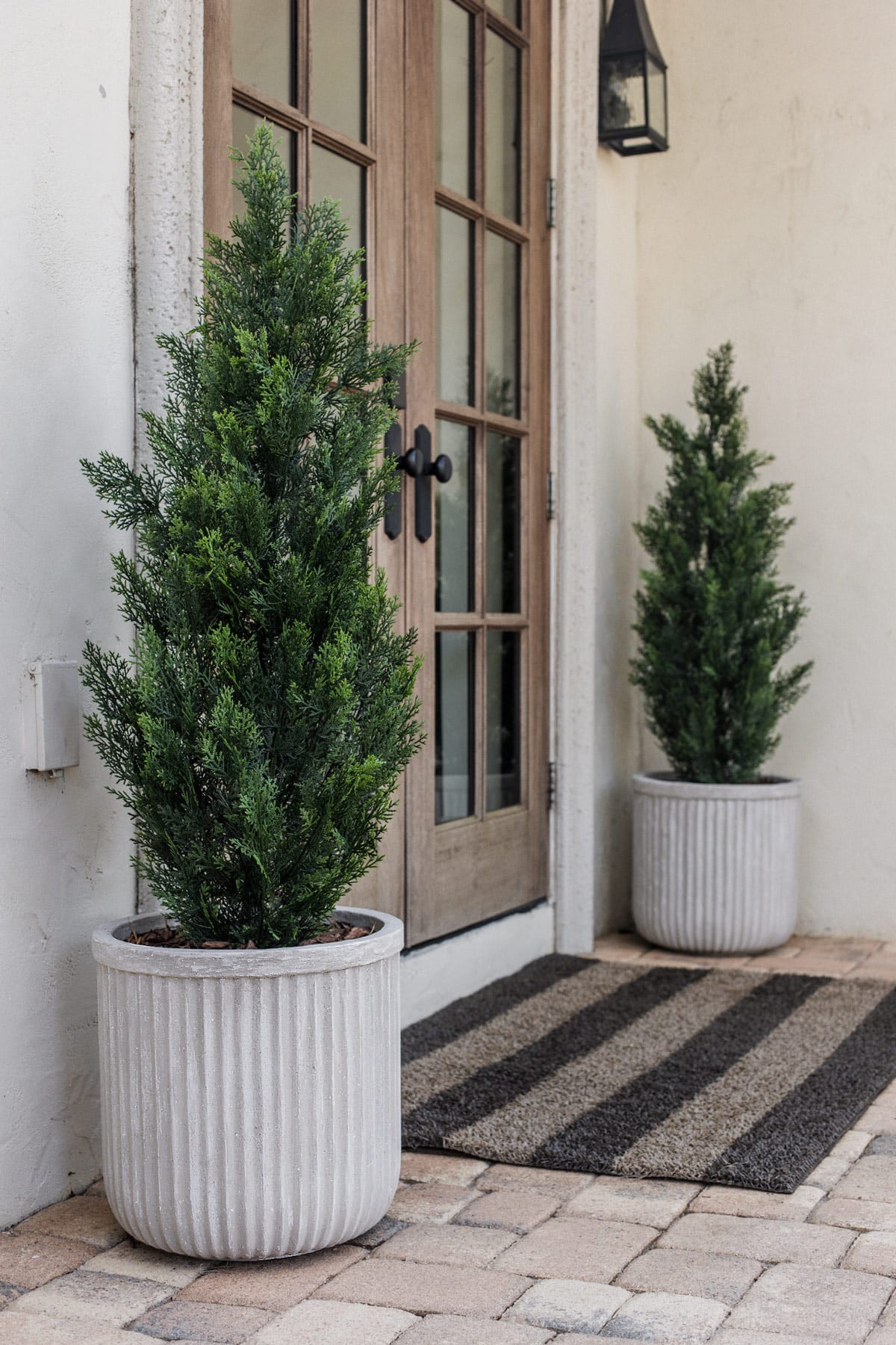 diy fluted cement planters with cedar shrubs