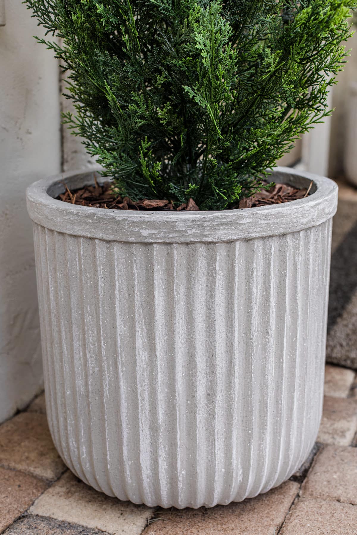 diy concrete fluted planter with cedar shrub