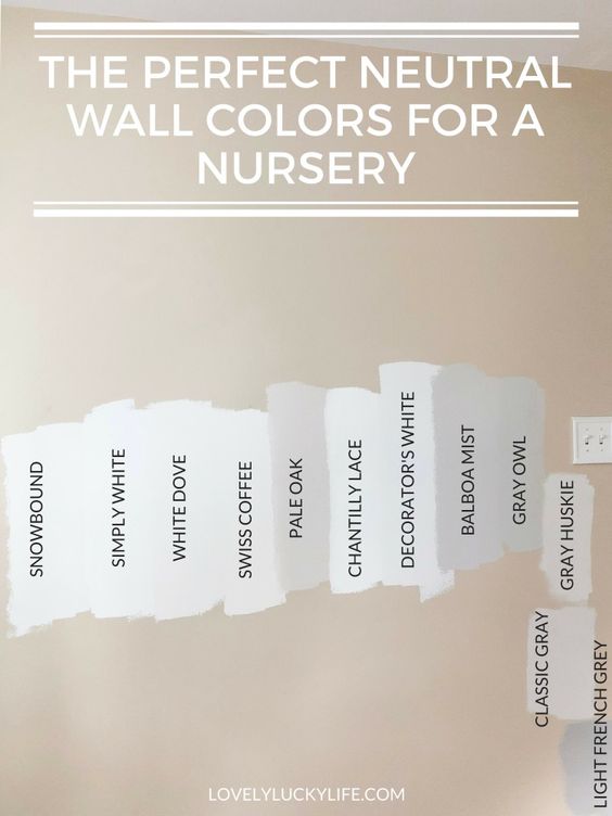 samples of popular white paint colors on a wall