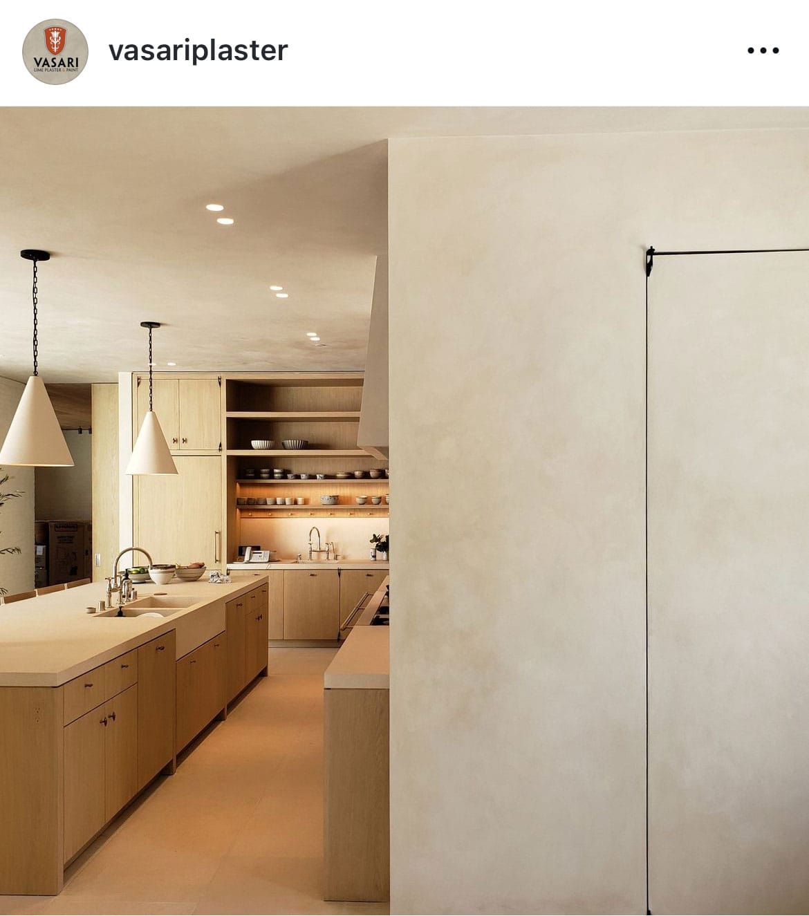 vasari limewash fossil