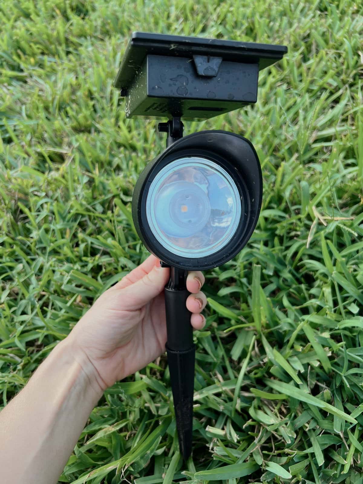 solar LED spotlight
