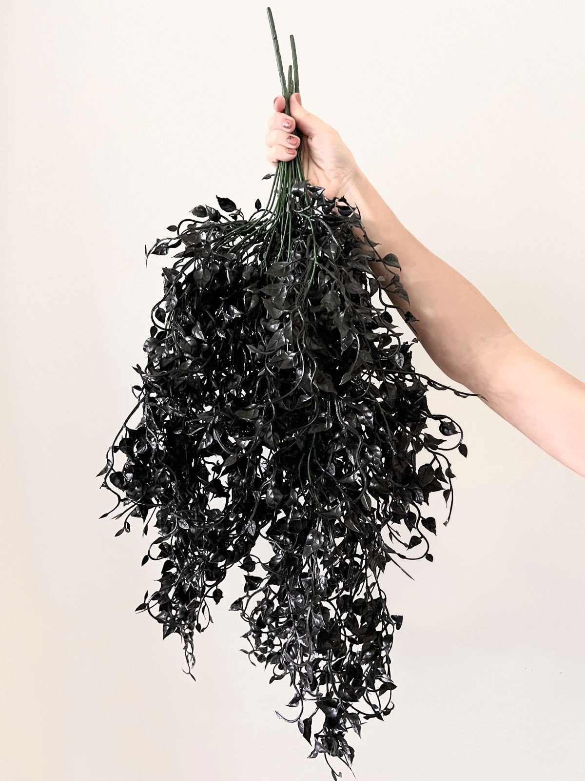 diy black ivy halloween wreath