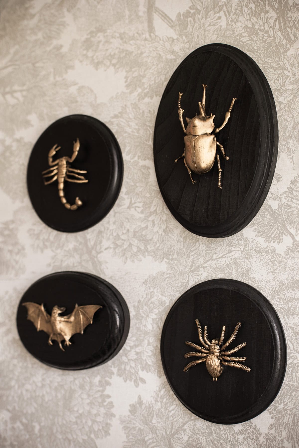diy halloween faux taxidermy tutorial