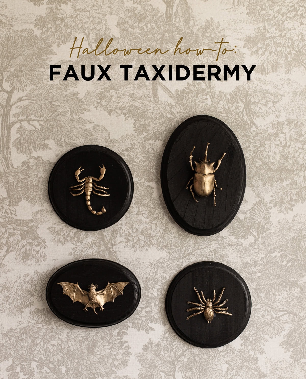 diy halloween faux taxidermy tutorial