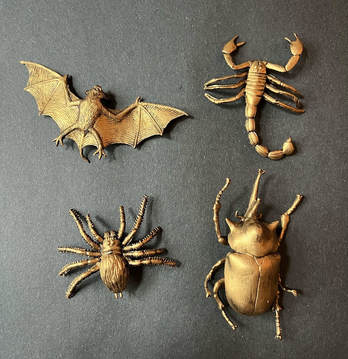 gilded gold insect taxidermy