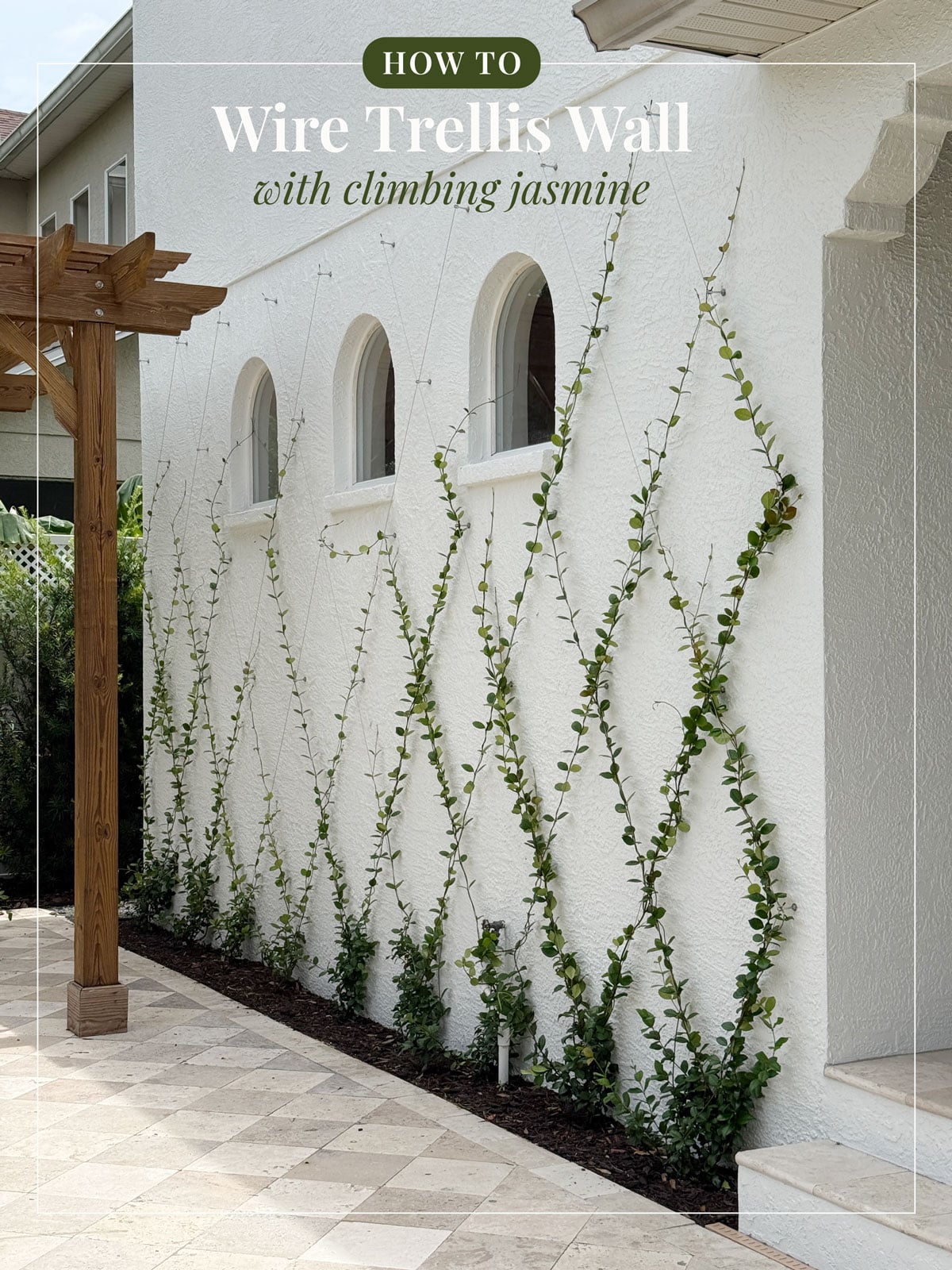 DIY Jasmine Wire Trellis Wall - Jenna Sue Design