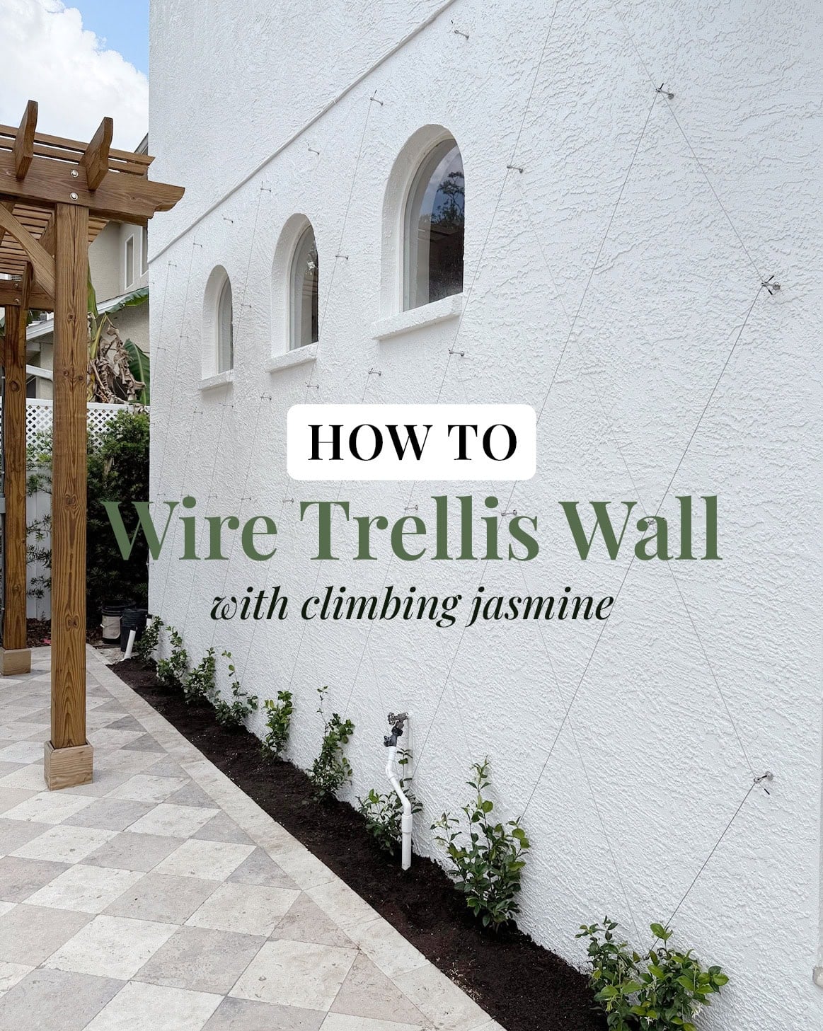 diy jasmine wire trellis wall tutorial