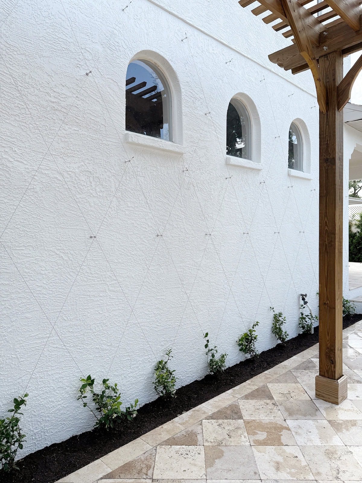 star jasmine wire trellis wall install
