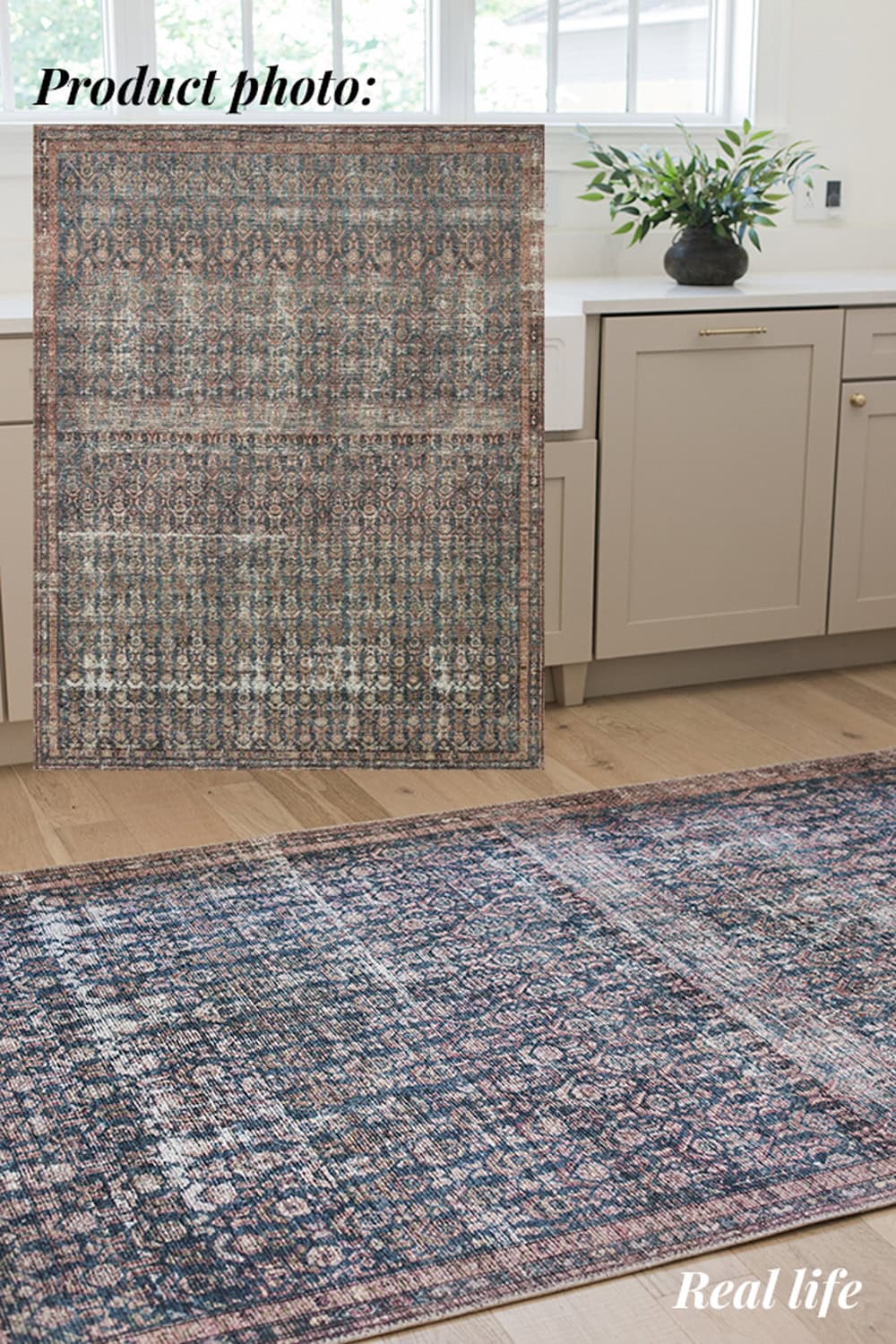 loloi rug product photo vs in person